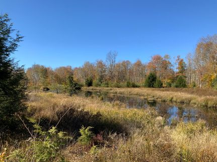 Recreational Property in Fulton County, New York