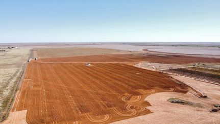 Farm and Ranch in Terry County, Texas