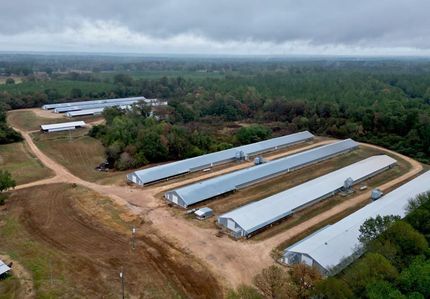 Farm and Ranch in Copiah County, Mississippi