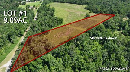 Farm and Ranch in Clarke County, Alabama