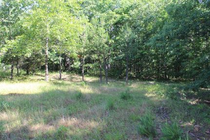 Undeveloped Land in Van Buren County, Arkansas