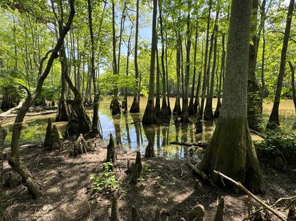 Riverfront Property in Jackson County, Arkansas