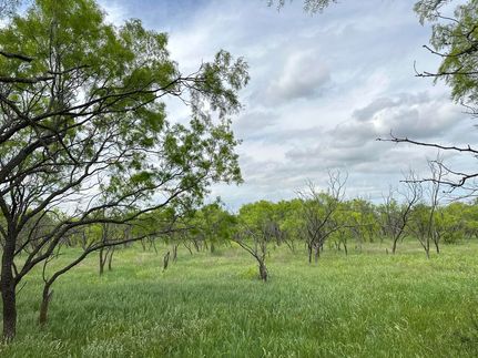 Recreational Property for sale in Callahan County, Texas