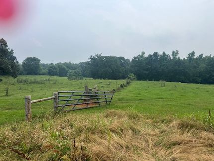Undeveloped Land in Nacogdoches County, Texas
