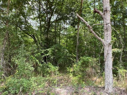 Land for sale in Houston County, Alabama