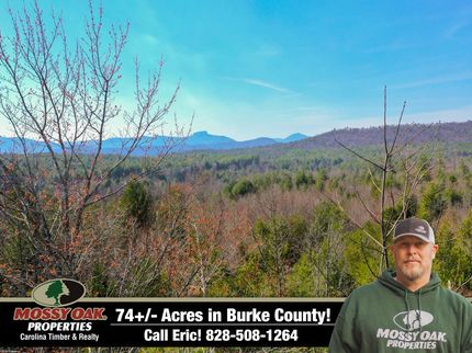 Undeveloped Land in Burke County, North Carolina
