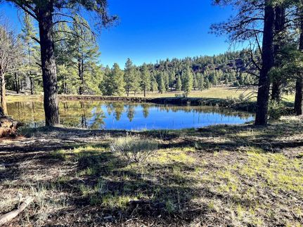 Hunting Property in Cibola County, New Mexico