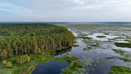 Lakefront Property in Leon County, Florida