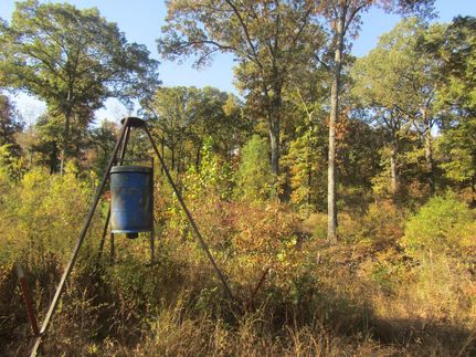 Undeveloped Land in Atoka County, Oklahoma