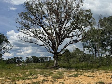 Farm and Ranch for sale in Amite County, Mississippi