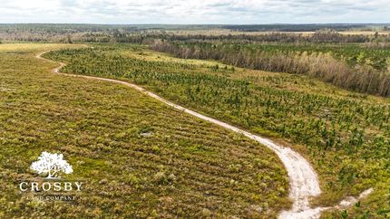 Undeveloped Land in Wheeler County, Georgia