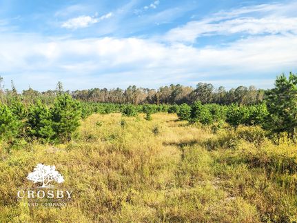 Undeveloped Land in Johnson County, Georgia