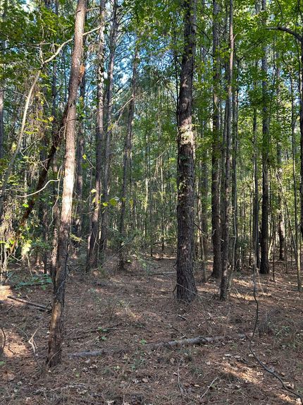 Homesite in Darlington County, South Carolina