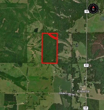 Timberland Property in Sumter County, Alabama