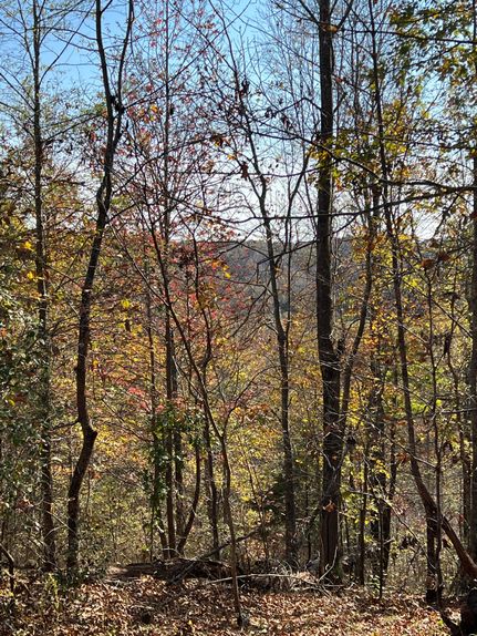 Land for sale in Lewis County, Tennessee