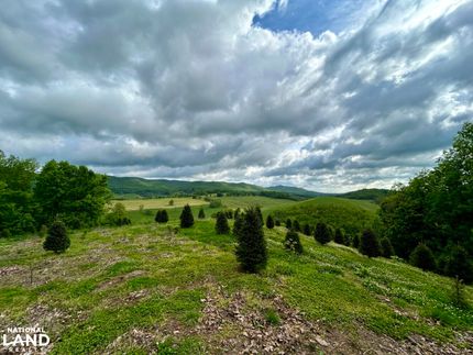 Farm and Ranch in Smyth County, Virginia