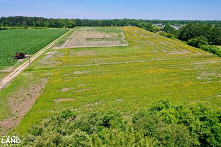 Undeveloped Land in Wayne County, North Carolina