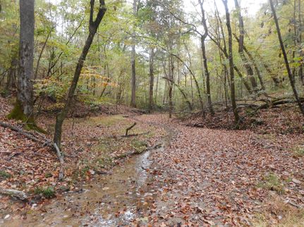 Farm and Ranch in Yazoo County, Mississippi