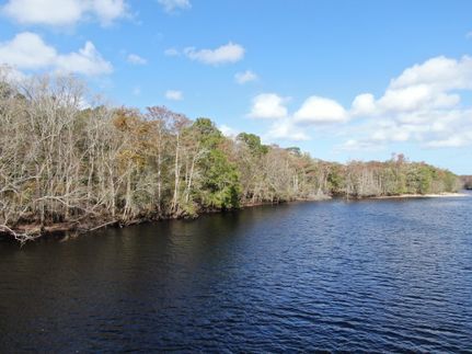 Undeveloped Land for sale in Marion County, South Carolina
