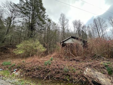 Undeveloped Land in Lee County, Virginia