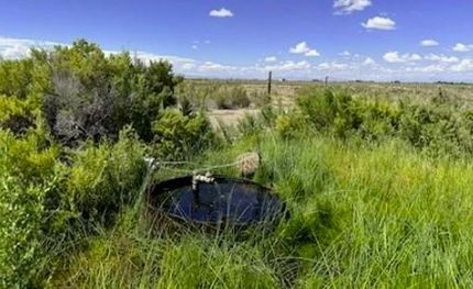 Farm and Ranch in Alamosa County, Colorado