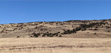 Riverfront Property in Apache County, Arizona