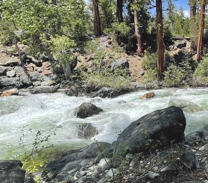 Riverfront Property in Alpine County, California
