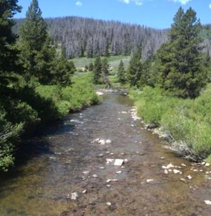 Timberland Property in Park County, Colorado