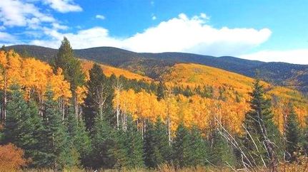 Land for sale in Grand County, Colorado