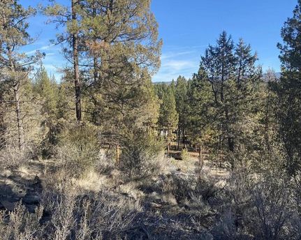 Undeveloped Land in Klamath County, Oregon