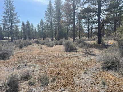 Undeveloped Land in Klamath County, Oregon