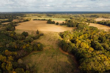 Undeveloped Land in Carroll County, Mississippi