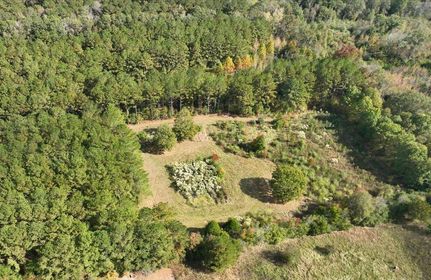 Timberland Property in Jones County, Mississippi