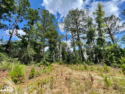 Undeveloped Land in Clarke County, Alabama