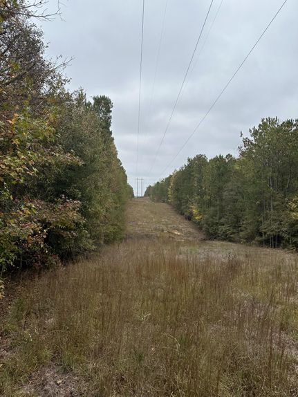 Recreational Property in Macon County, Alabama