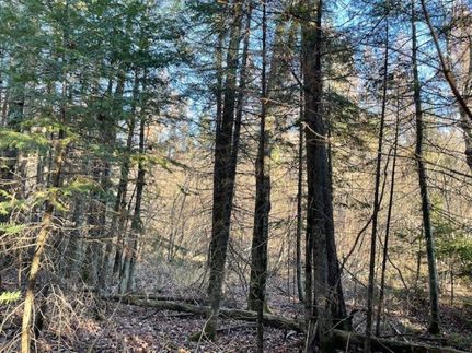 Undeveloped Land in Lincoln County, Wisconsin