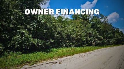 Undeveloped Land in Putnam County, Florida