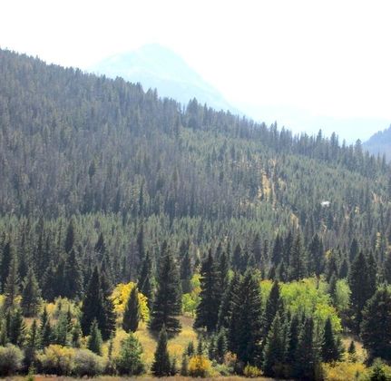 Riverfront Property in Madison County, Montana