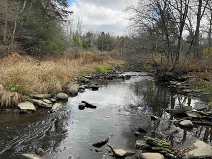 Commercial Property in Chautauqua County, New York