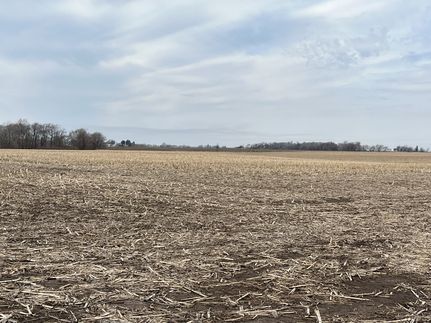 Land in Louisa County, Iowa