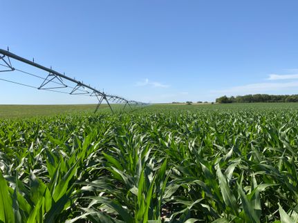 Timberland Property in Holt County, Nebraska