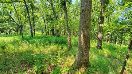 Farm and Ranch in Benton County, Missouri