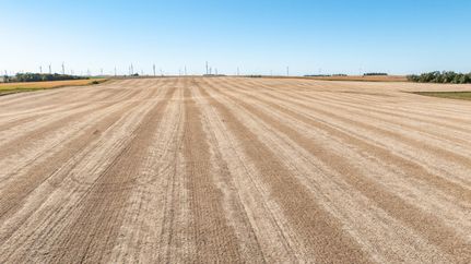Undeveloped Land in Lincoln County, Minnesota