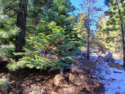 Undeveloped Land in Modoc County, California