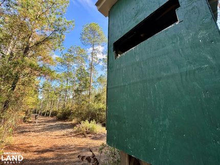 Land in Baldwin County, Alabama