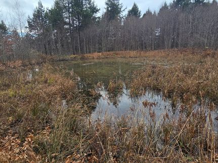 Undeveloped Land in Chenango County, New York