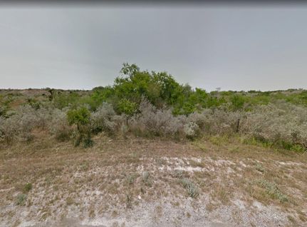 Land in Jim Wells County, Texas