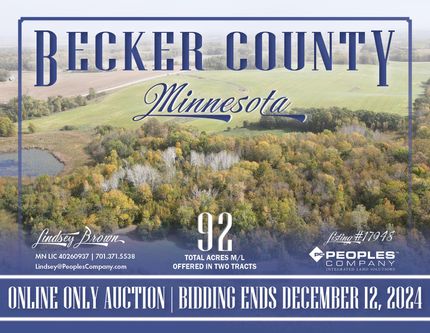 Recreational Property in Becker County, Minnesota