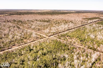Timberland Property in Pamlico County, North Carolina