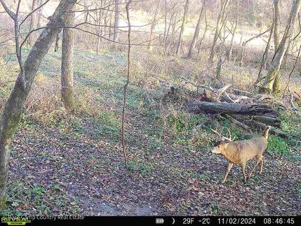 Timberland Property in Crawford County, Wisconsin